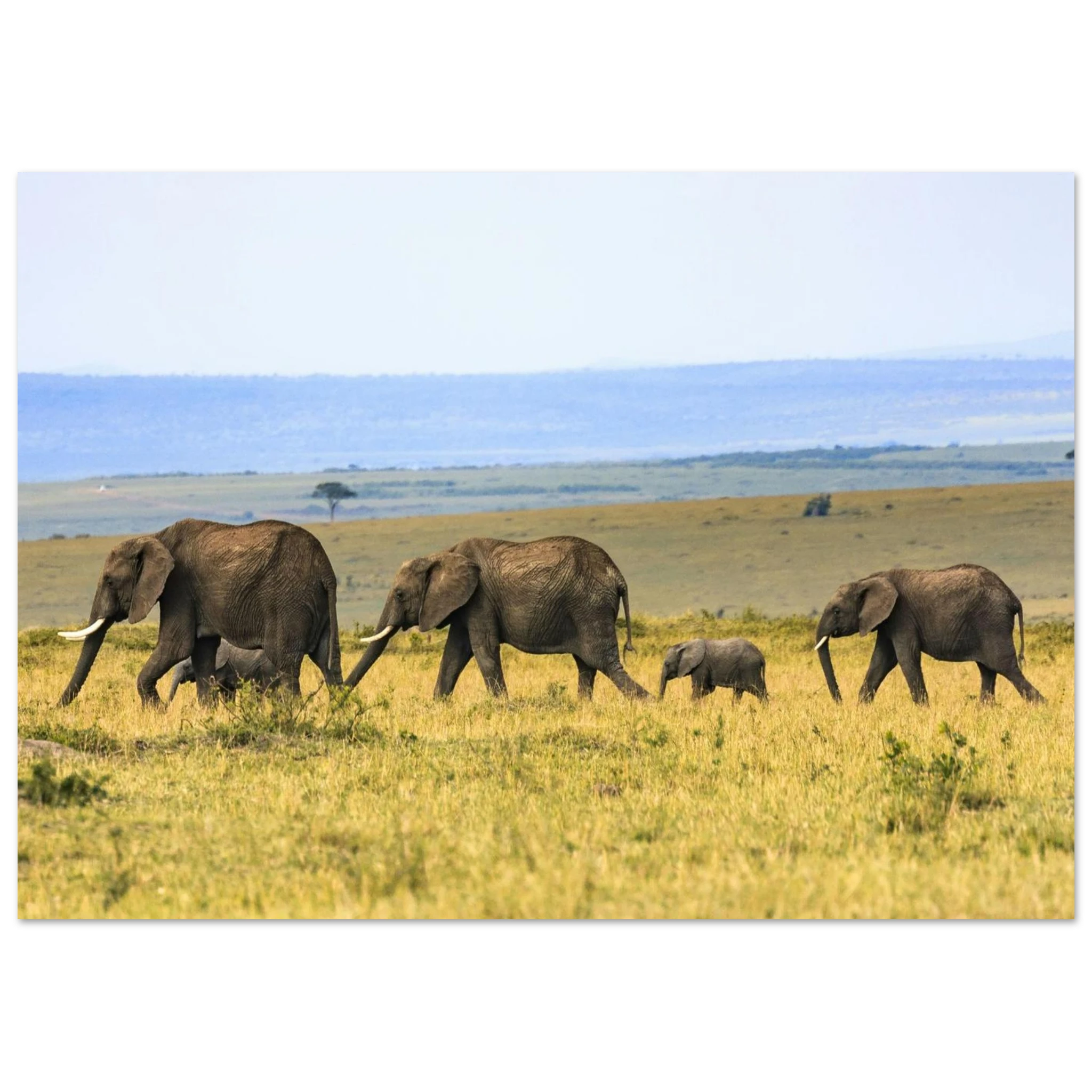 f1428756-ab74-4e60-97f9-c20428f73681