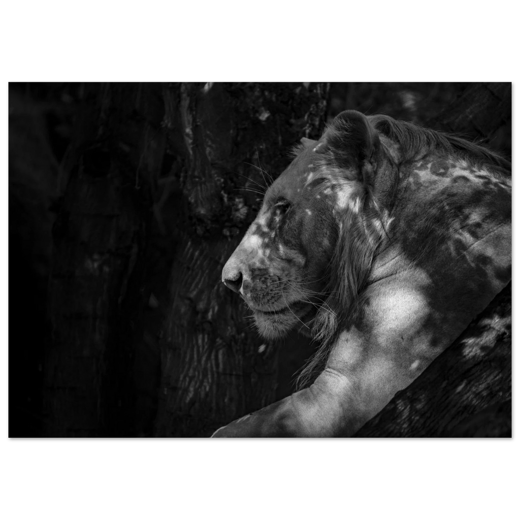 f2749e45-a4ab-46cc-b1e5-8301e7443f93