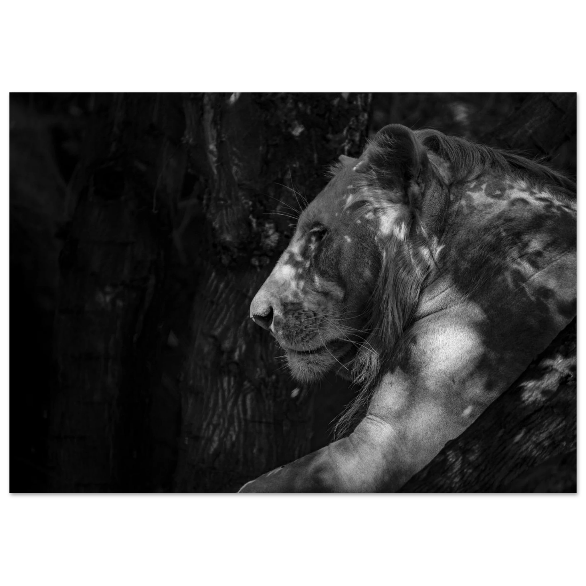 f2749e45-a4ab-46cc-b1e5-8301e7443f93