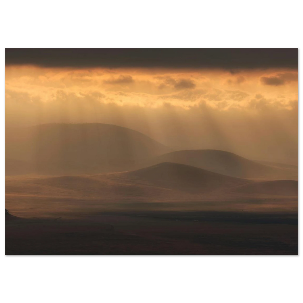 fae56575-c381-42f7-bf09-e113fde2fccc