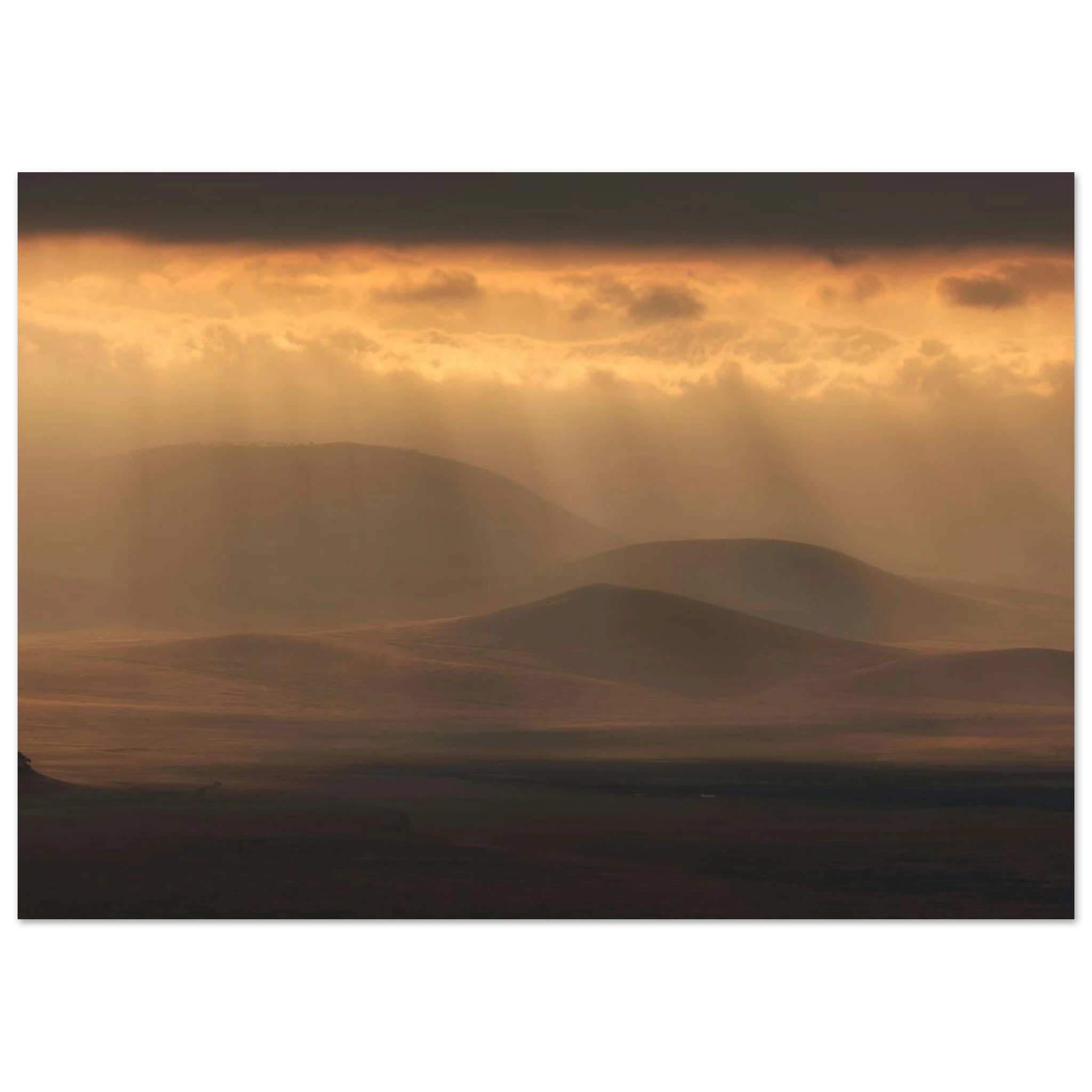 fae56575-c381-42f7-bf09-e113fde2fccc