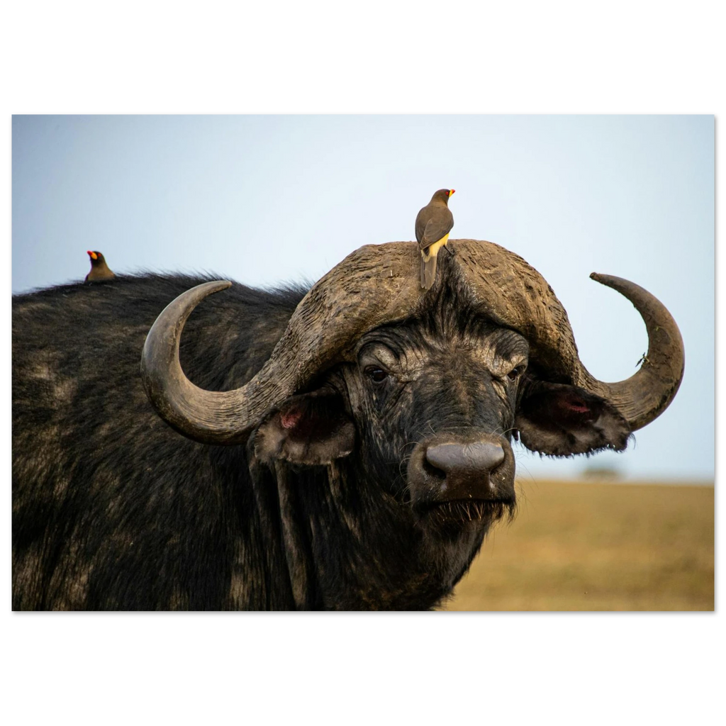 fc089b79-50f5-4628-bf71-a804599990fa