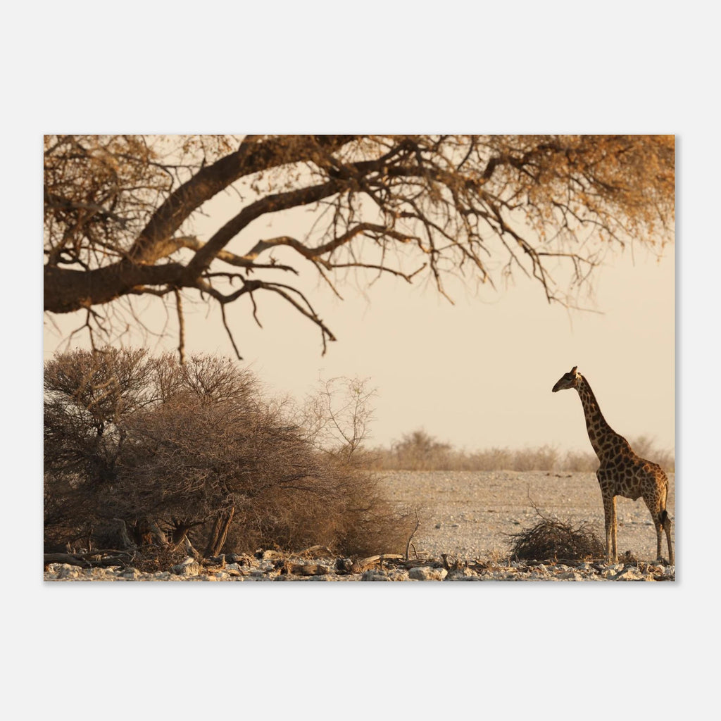 ffc4aa8b-5b84-43df-be7c-2d9be1923bab